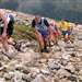 Ben Nevis Race